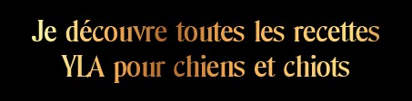 Nourriture riche en oméga 3 pour chien